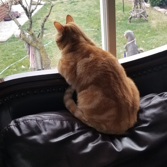 Meet your Posher, Aida - Picture 1 of 1